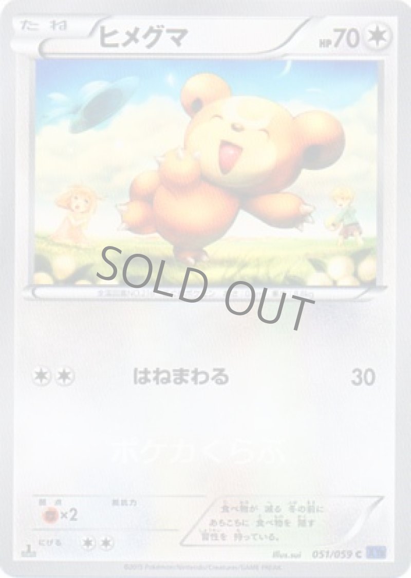 画像1: ヒメグマ (1)