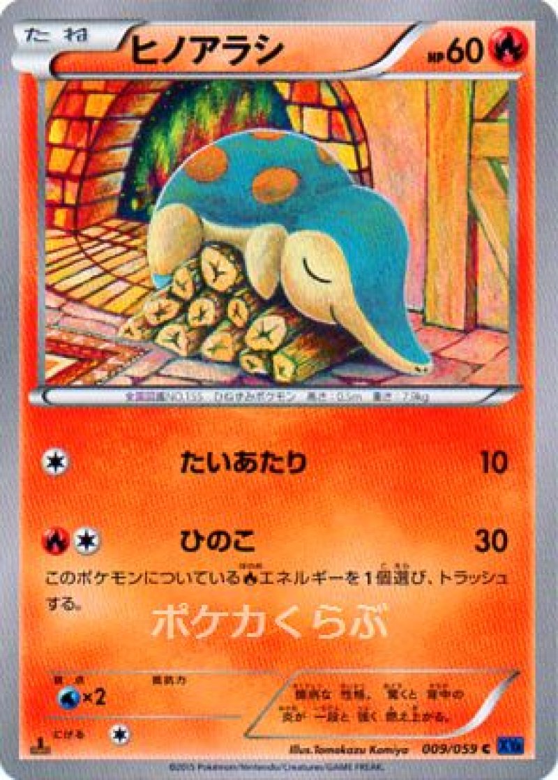 画像1: ヒノアラシ (1)