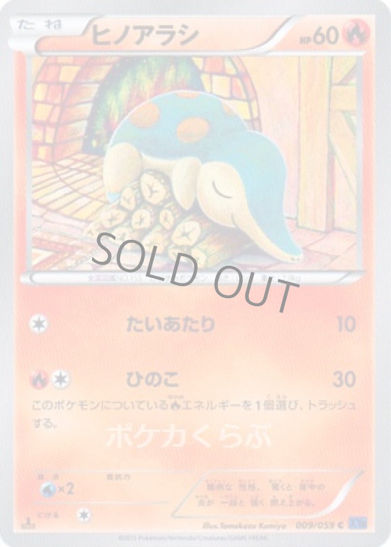 画像1: ヒノアラシ (1)