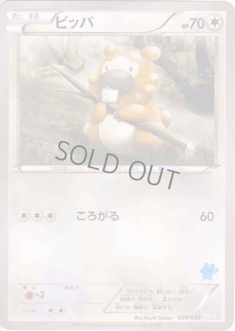 画像1: ビッパ (1)