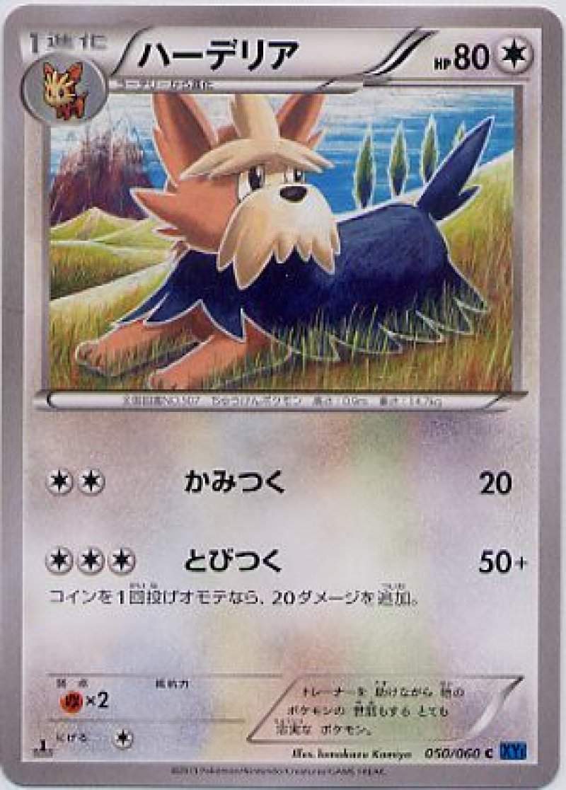 画像1: ハーデリア (1)