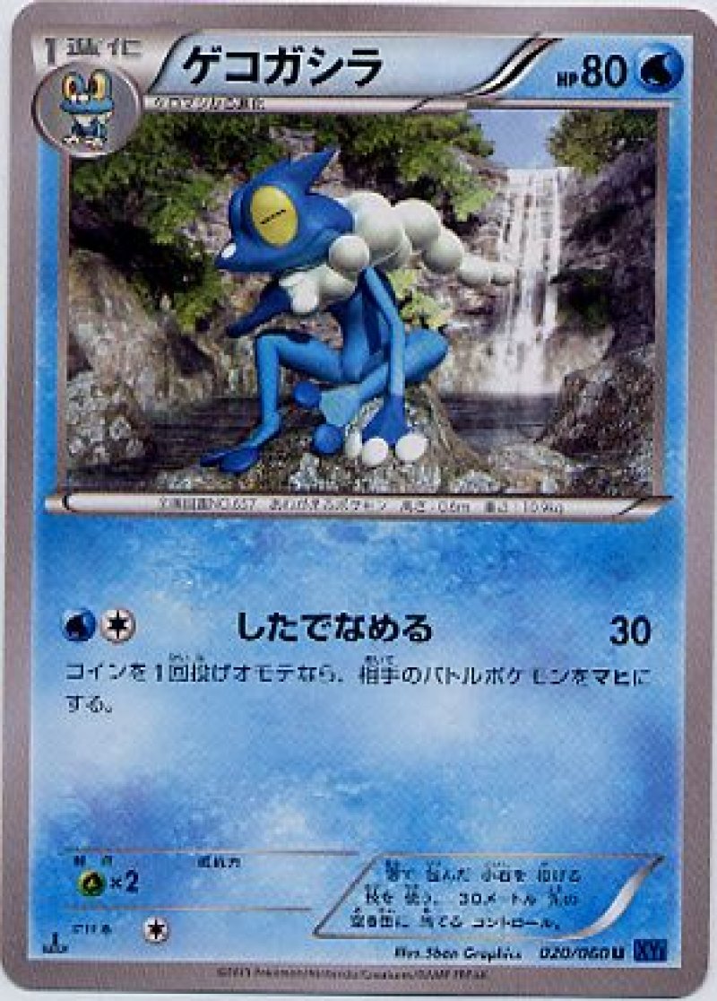 画像1: ゲコガシラ (1)