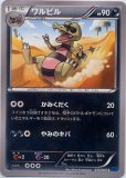 ヒトカゲ（色違い）