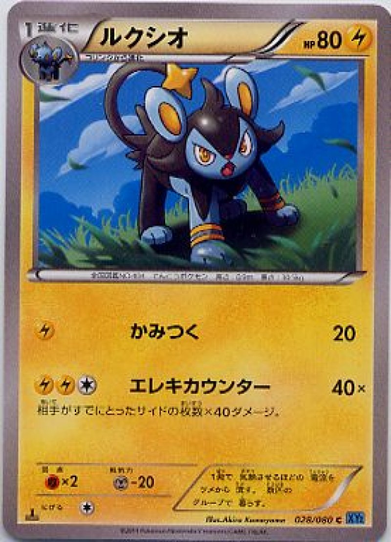 画像1: ルクシオ (1)