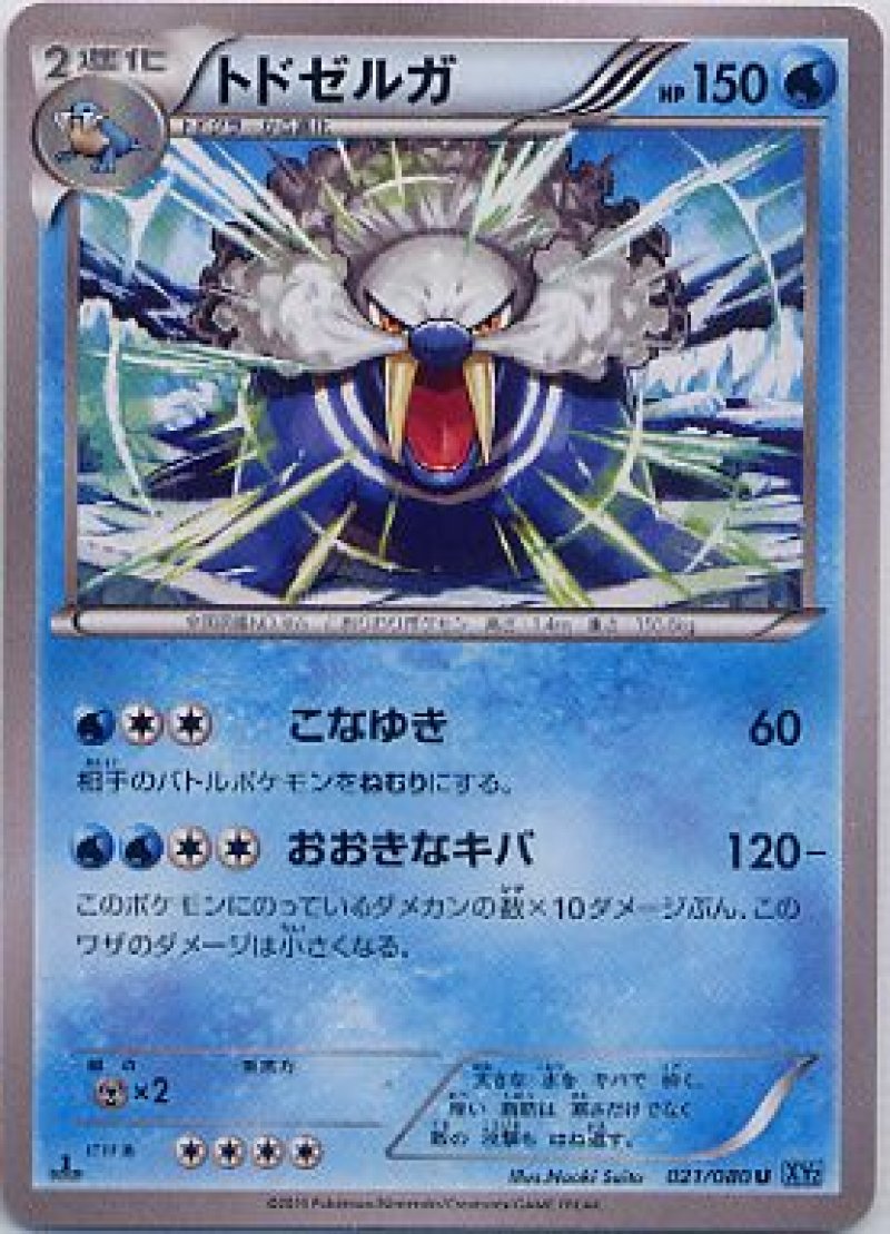 画像1: トドゼルガ (1)
