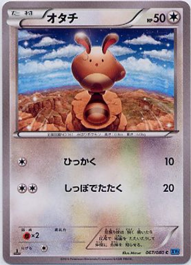 画像1: オタチ (1)