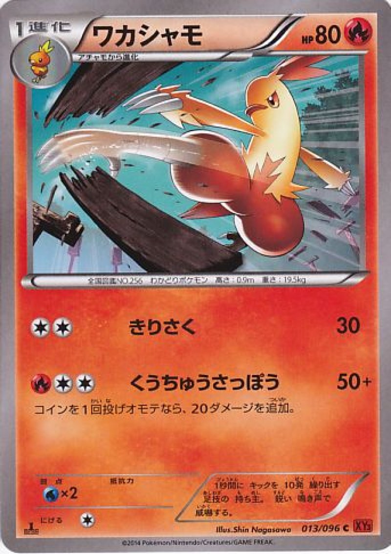 画像1: ワカシャモ (1)