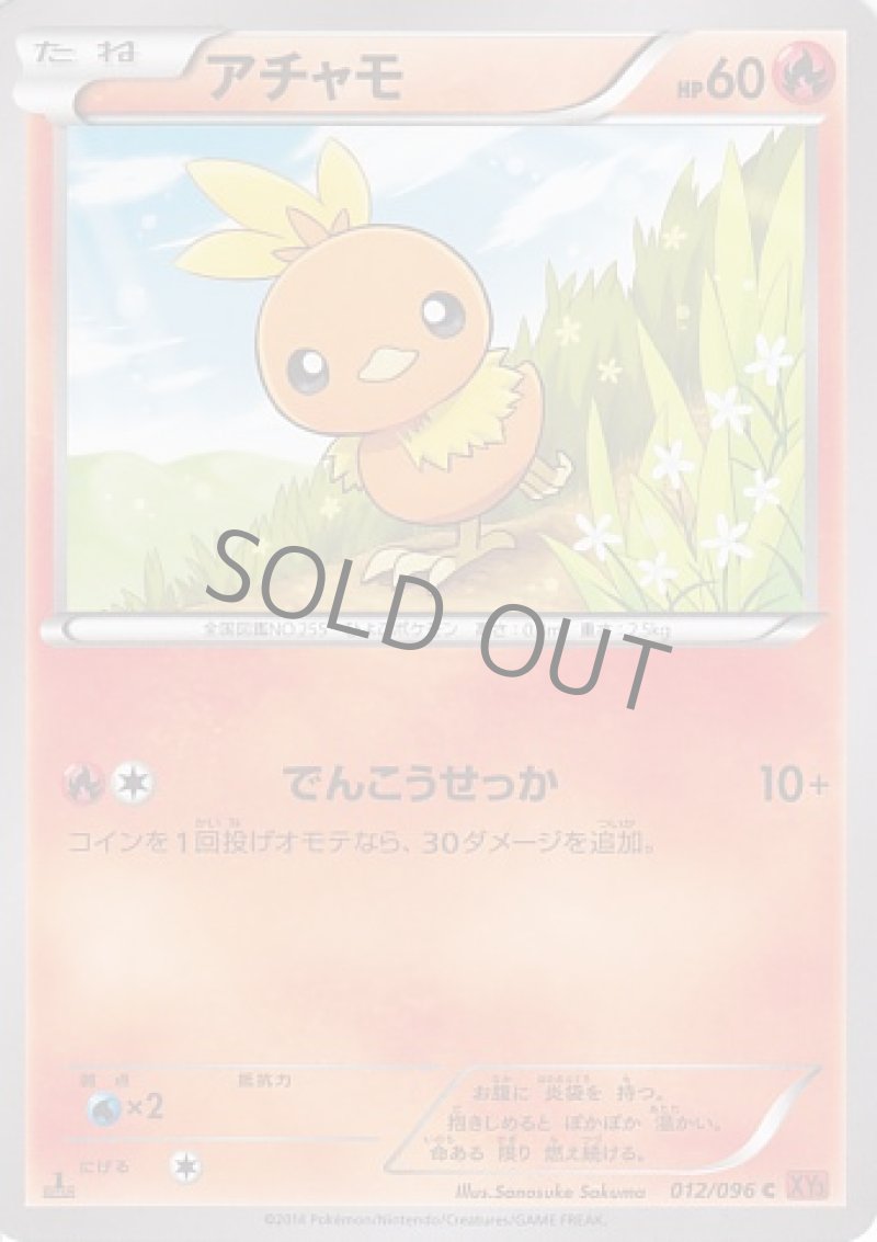 画像1: アチャモ (1)