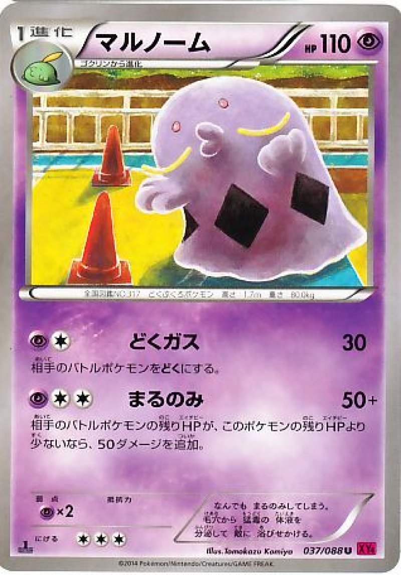 画像1: マルノーム (1)