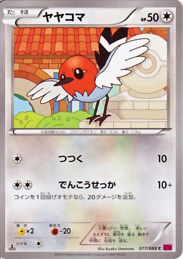 画像1: ヤヤコマ (1)