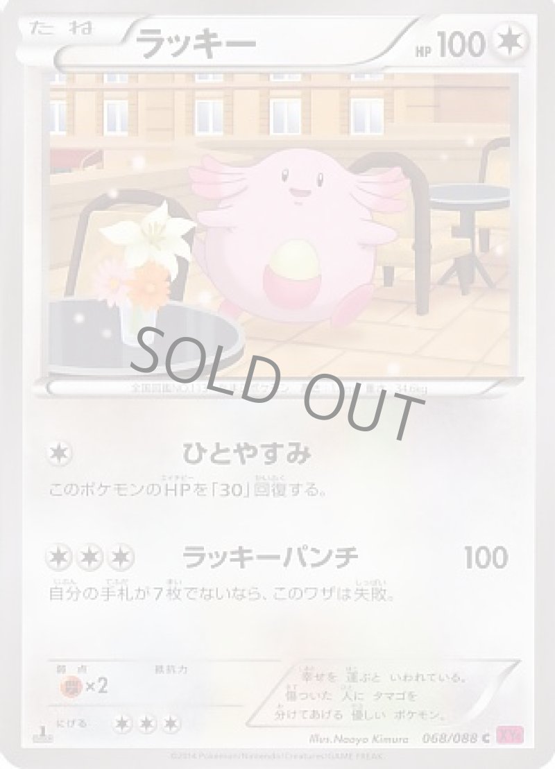 画像1: ラッキー (1)