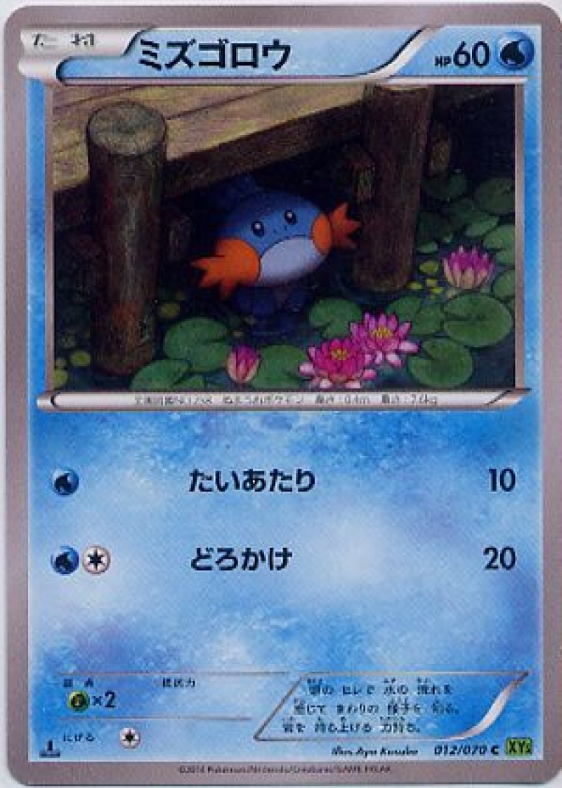 画像1: ミズゴロウ (1)
