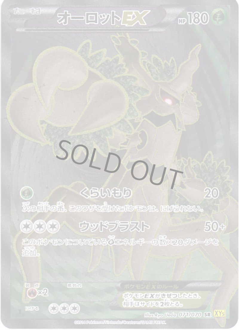画像1: オーロットEX SR (1)