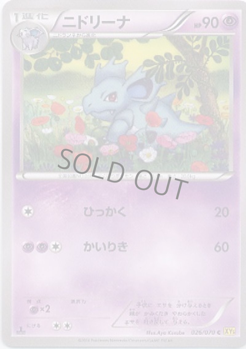 画像1: ニドリーナ (1)