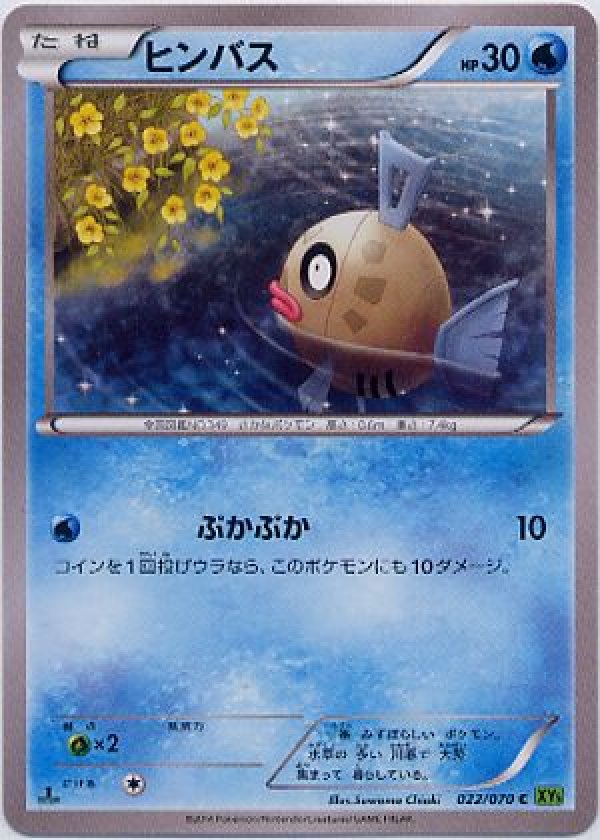画像1: ヒンバス (1)
