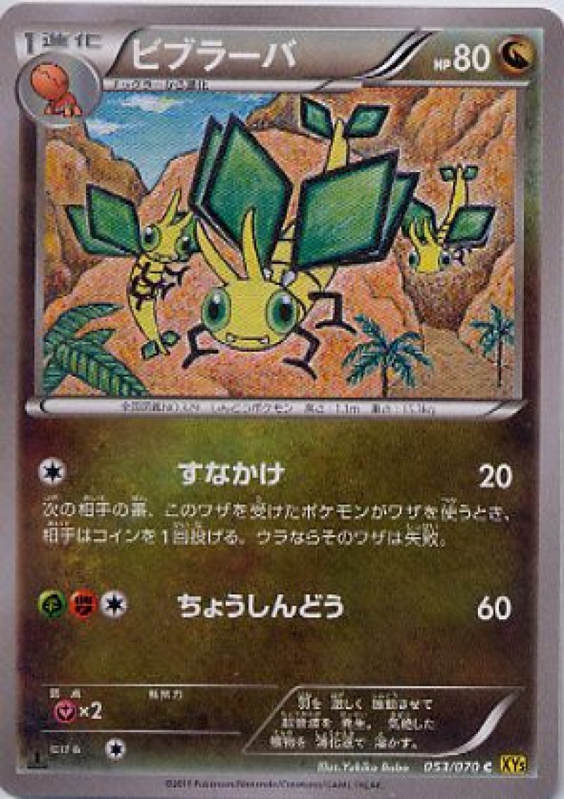 画像1: ビブラーバ (1)