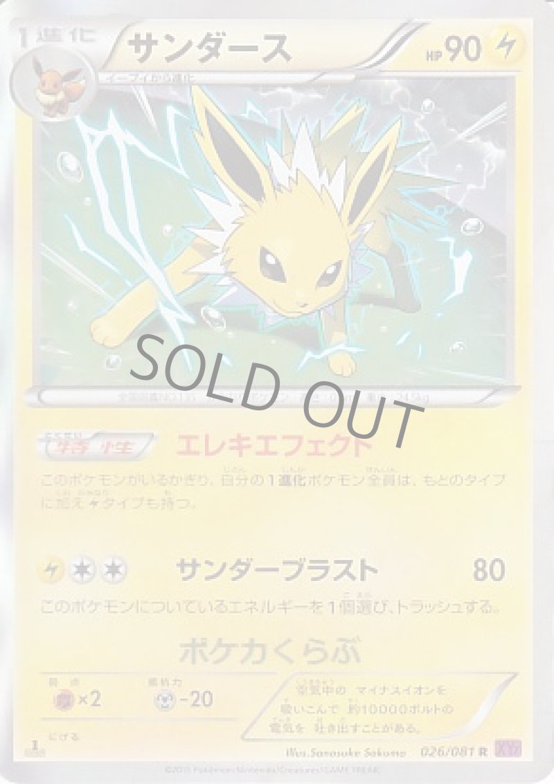 画像1: サンダース (1)