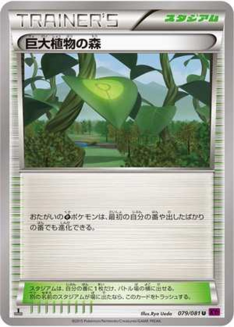 画像1: 巨大植物の森 (1)