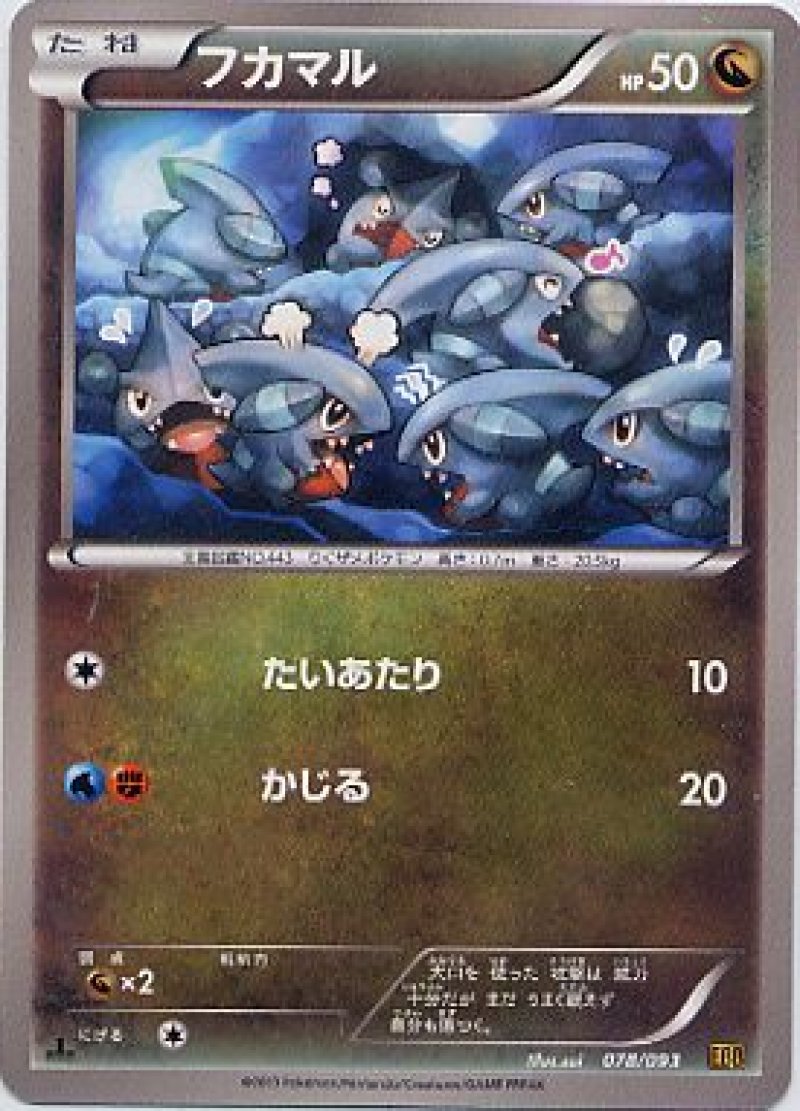 画像1: フカマル (1)