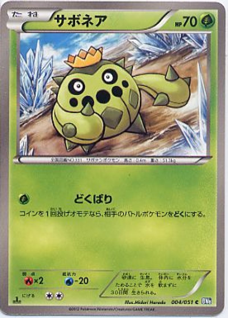 画像1: サボネア (1)