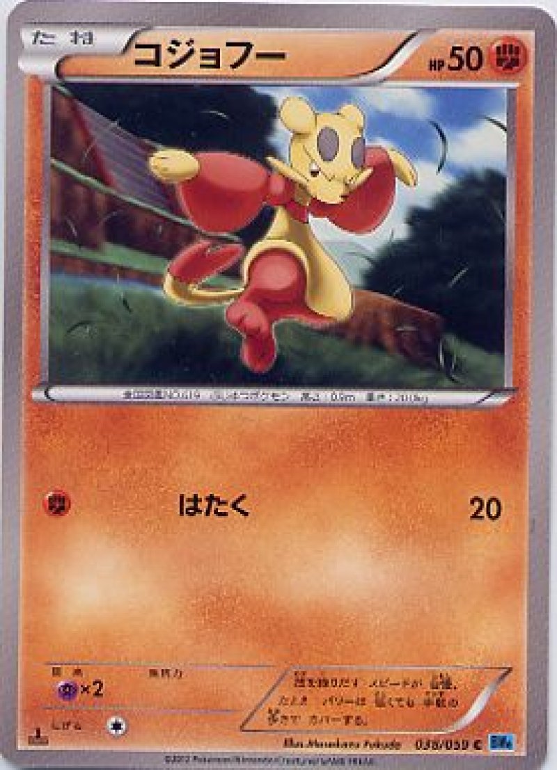 画像1: コジョフー (1)