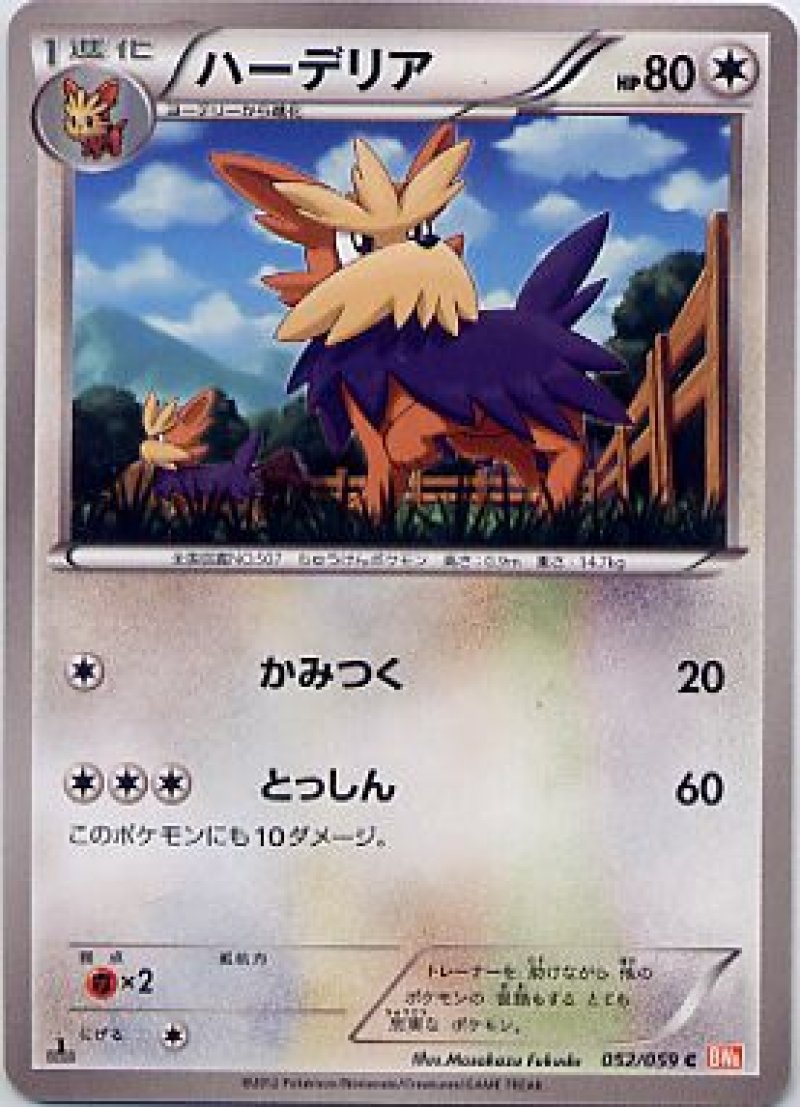 画像1: ハーデリア (1)
