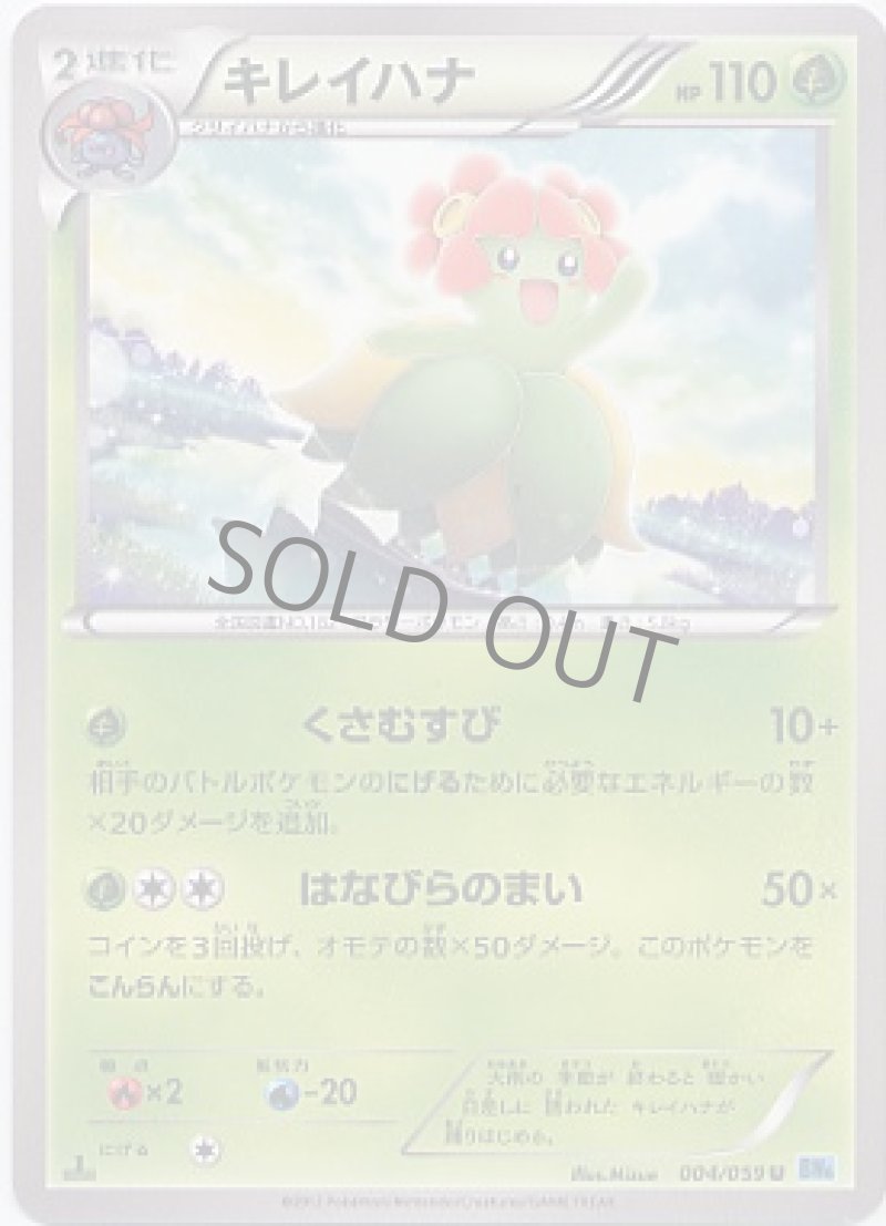 画像1: キレイハナ (1)