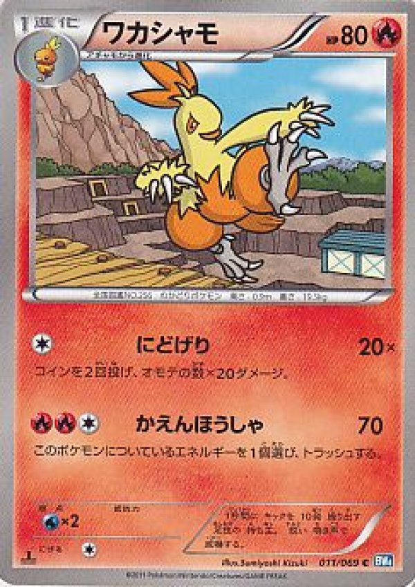 画像1: ワカシャモ (1)