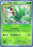 シャイニーコレクション|BWシリーズ拡張パック|ポケカくらぶ シャイニーコレクション|BWシリーズ拡張パック|ポケカくらぶ