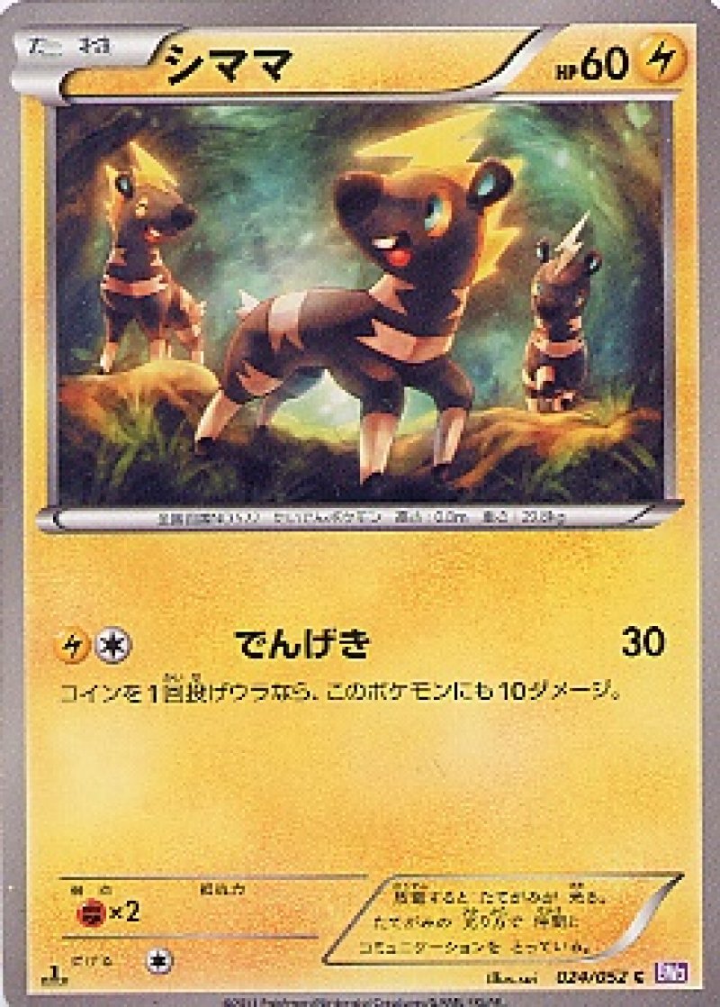 画像1: シママ (1)
