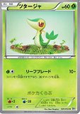 ホワイトコレクション|BWシリーズ拡張パック|ポケカくらぶ