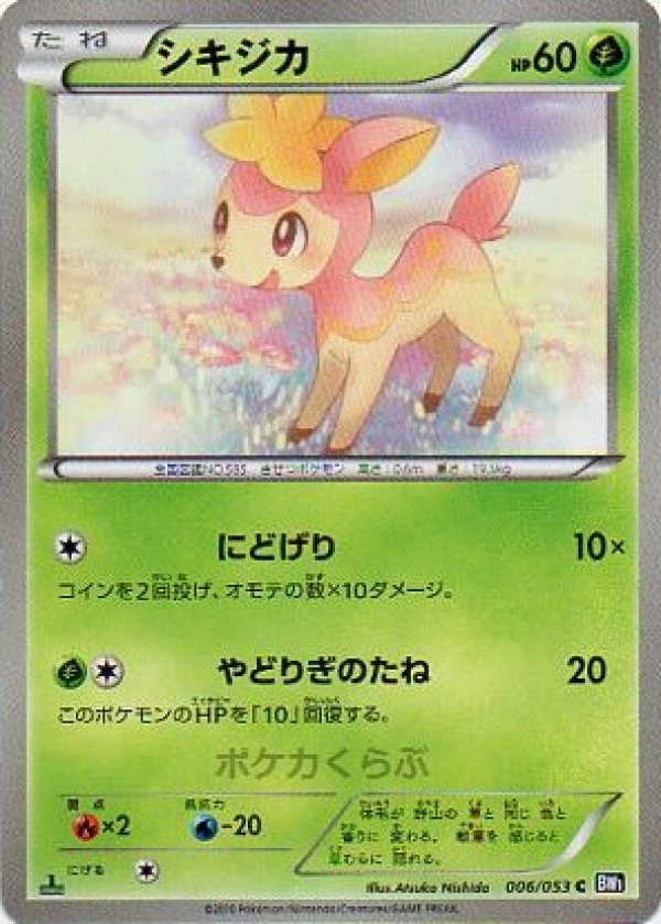 画像1: シキジカ (1)
