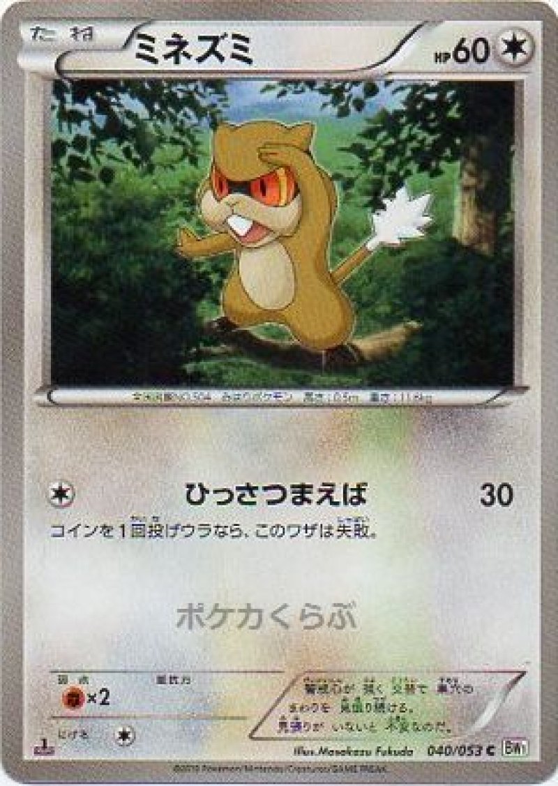 画像1: ミネズミ (1)