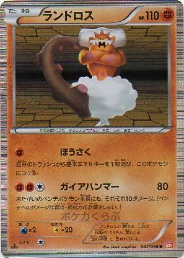 画像1: ランドロス (1)