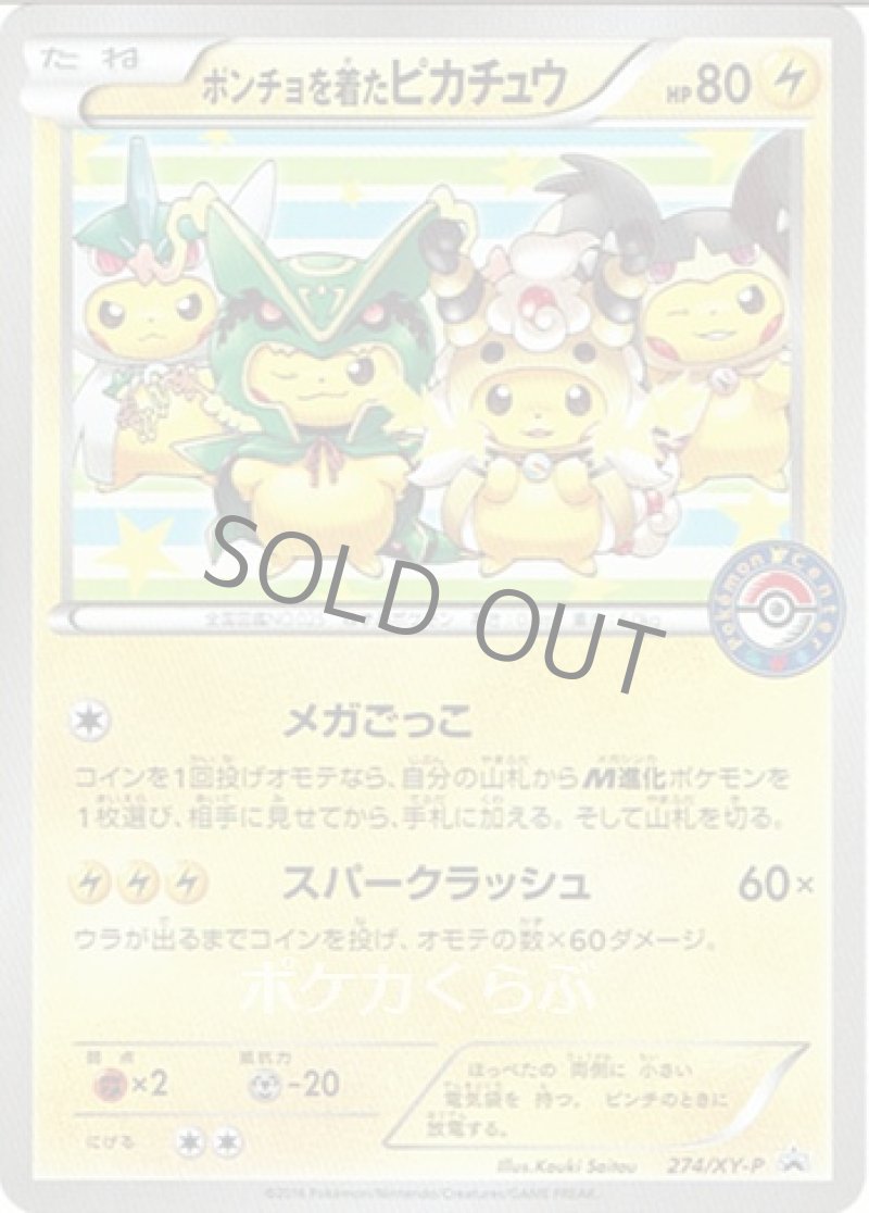 画像1: ポンチョを着たピカチュウ (1)