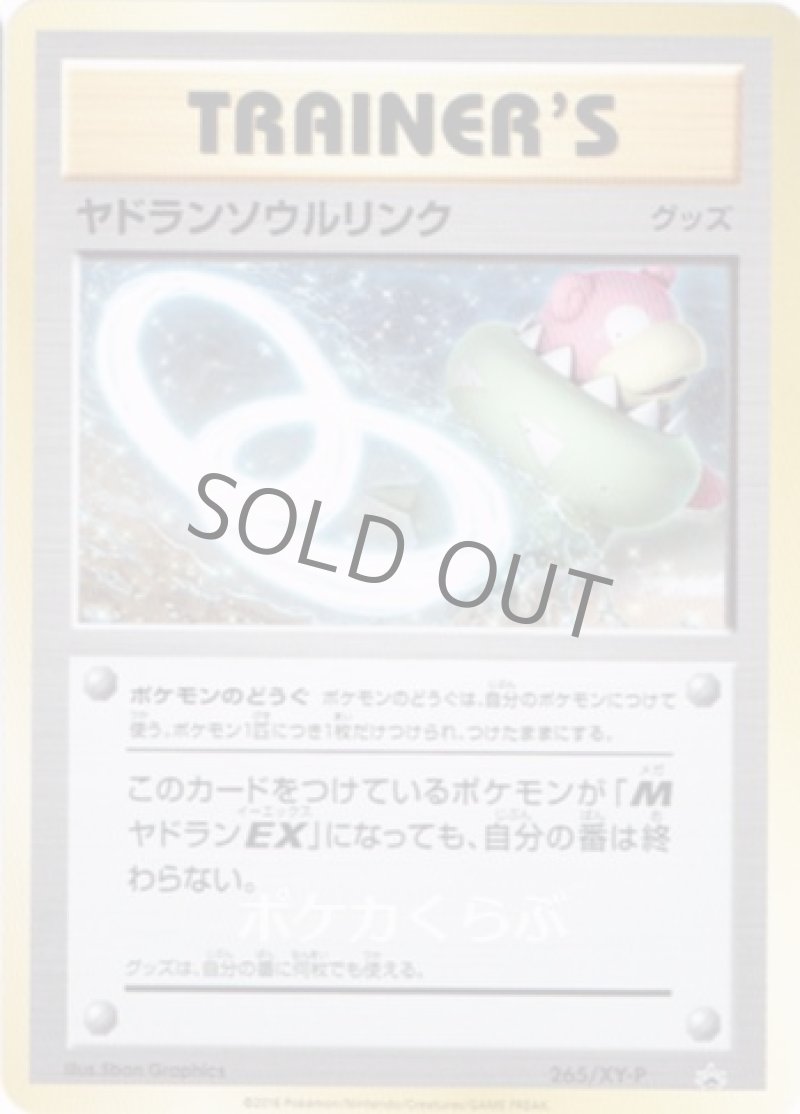 画像1: ヤドランソウルリンク (1)