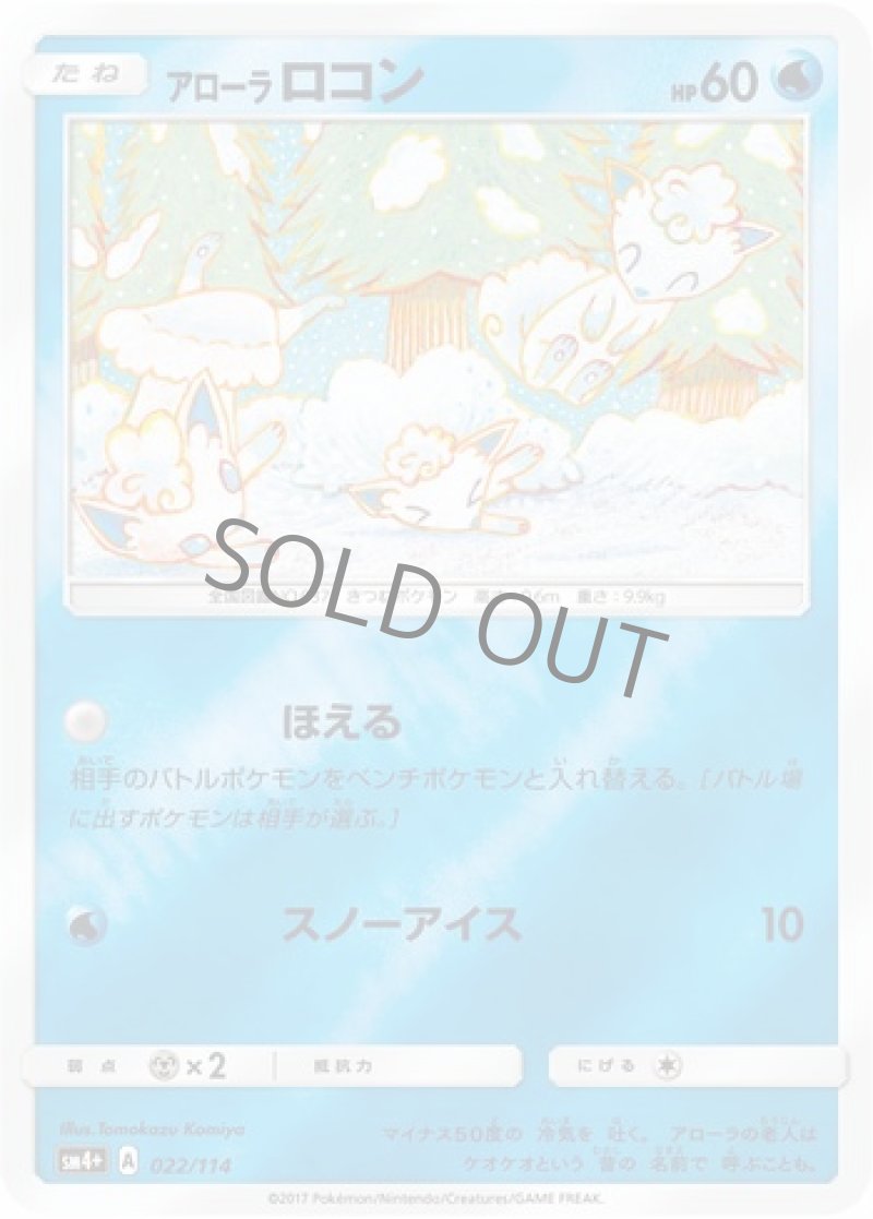 画像1: アローラロコン (1)