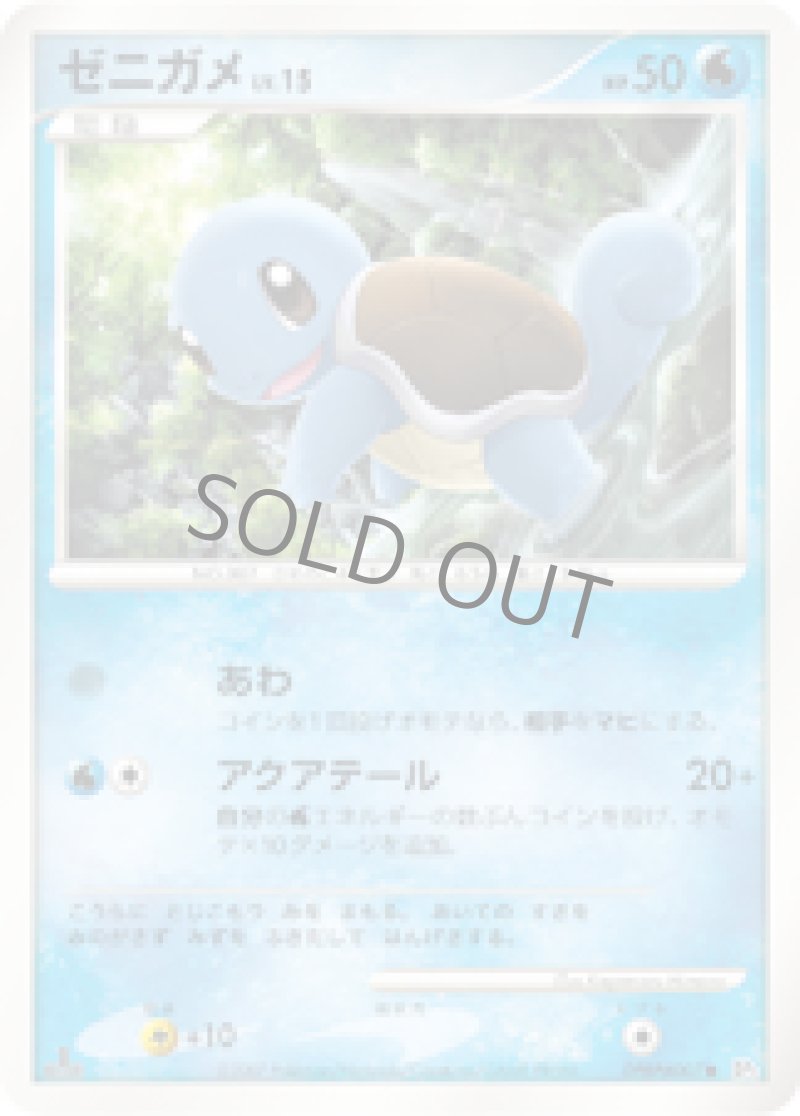 画像1: ゼニガメ (1)