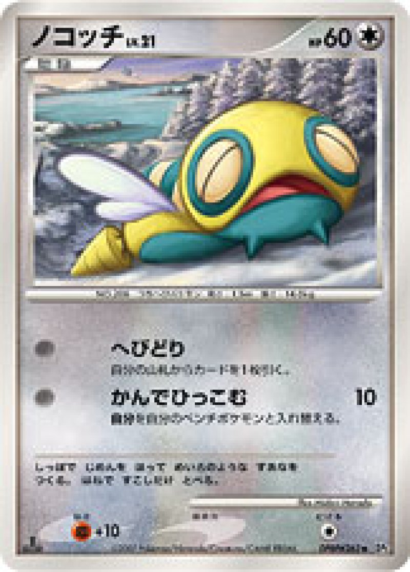 画像1: ノコッチ (1)