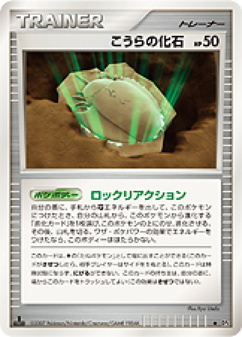 画像1: こうらの化石 (1)