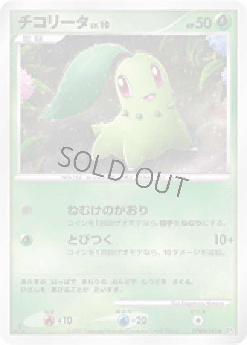 画像1: チコリータ (1)