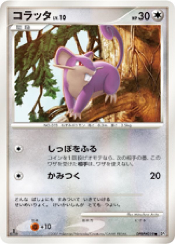 画像1: コラッタ (1)