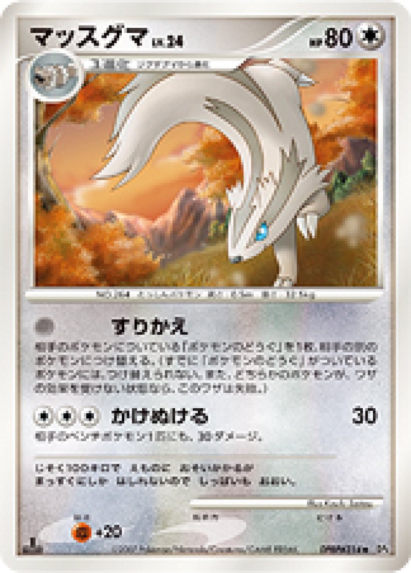 画像1: マッスグマ (1)