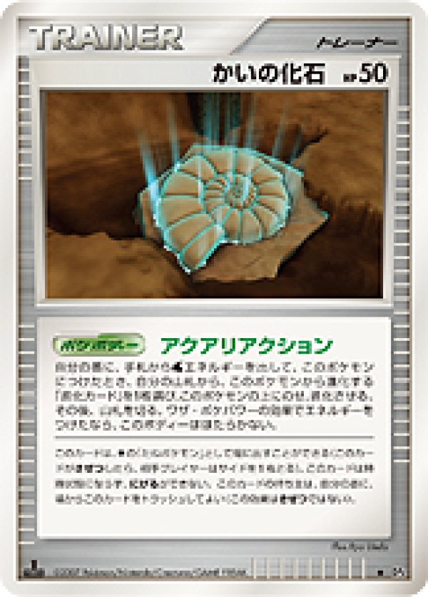 画像1: かいの化石 (1)