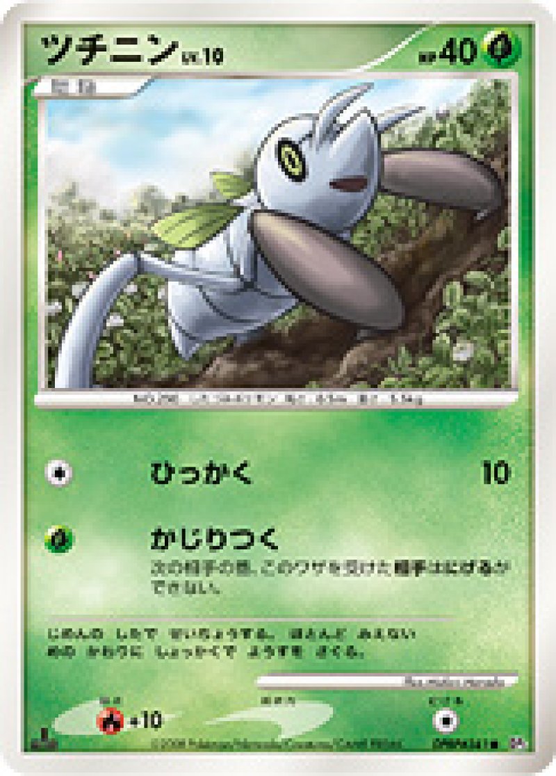 画像1: ツチニン (1)