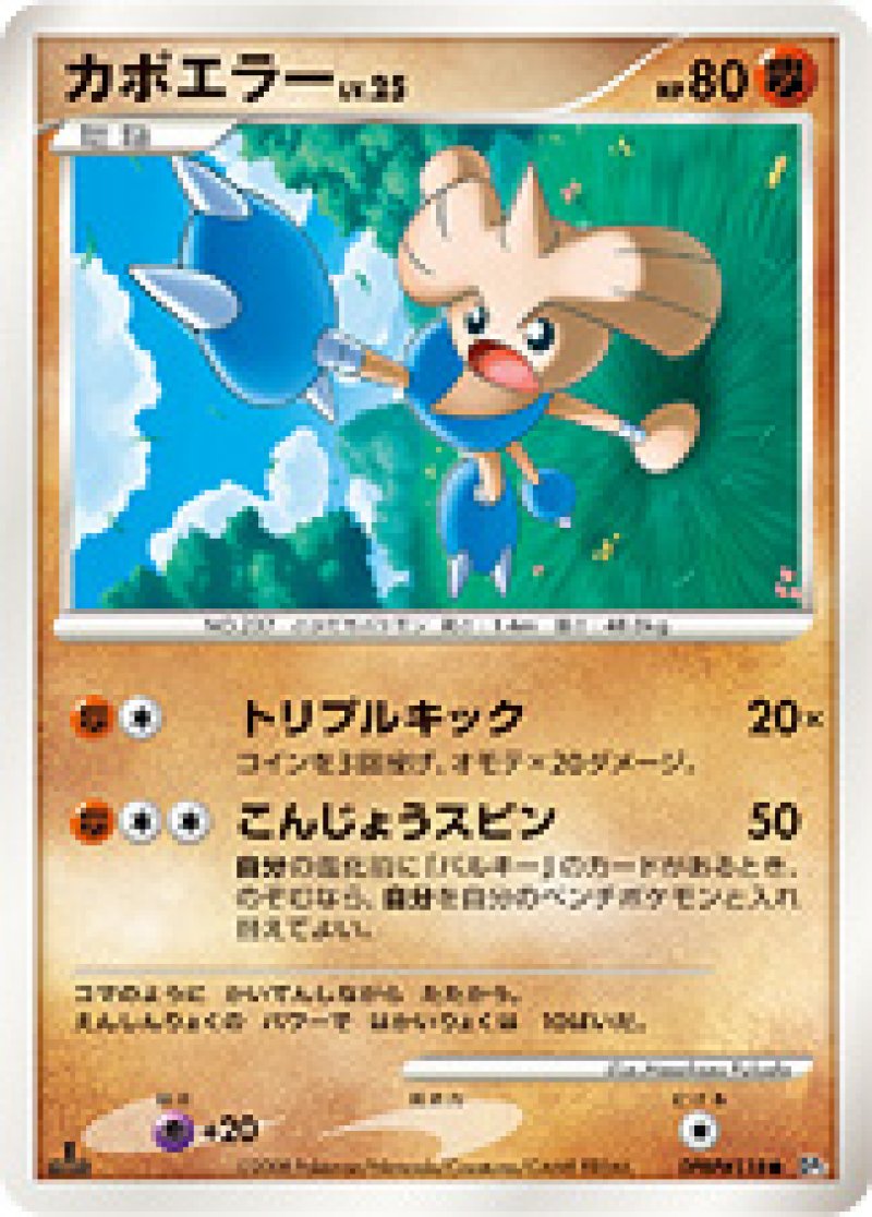 画像1: カポエラー (1)