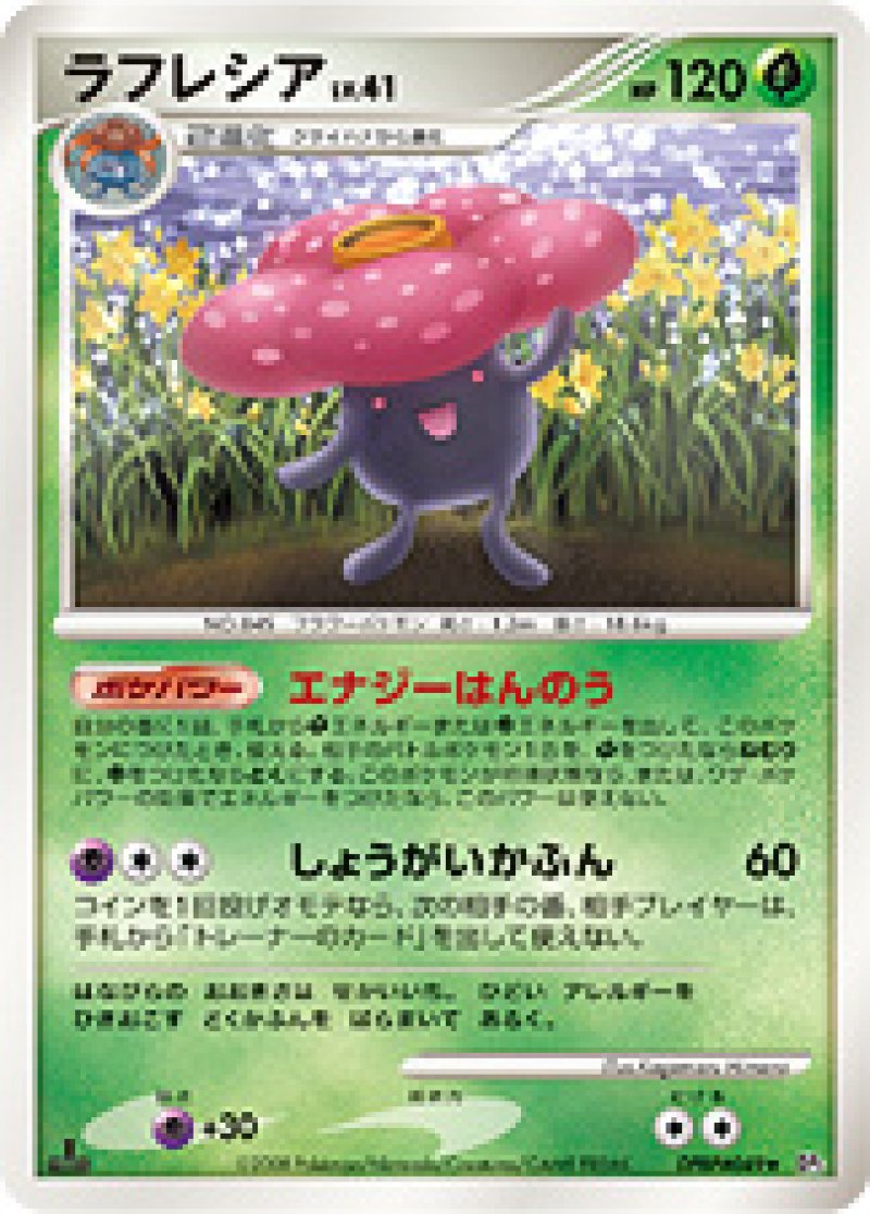 画像1: ラフレシア (1)