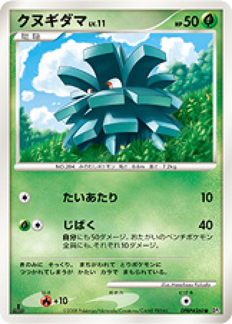 画像1: クヌギダマ (1)