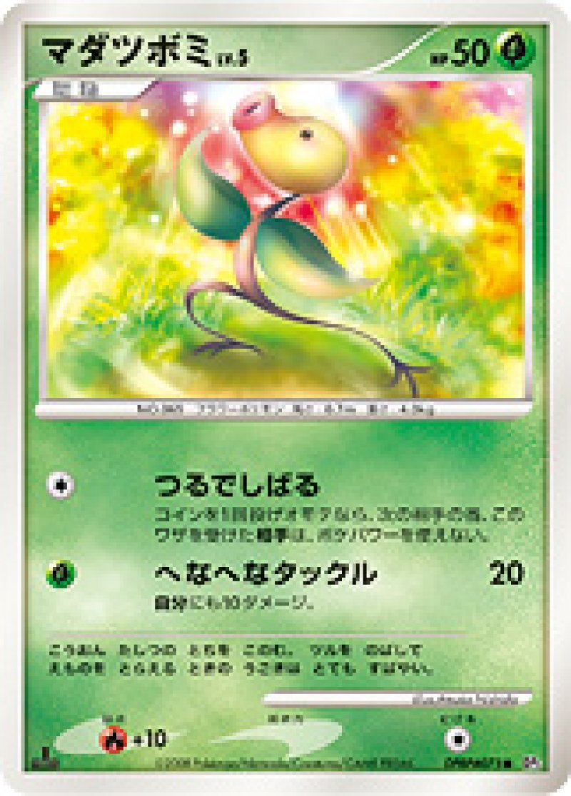 画像1: マダツボミ (1)