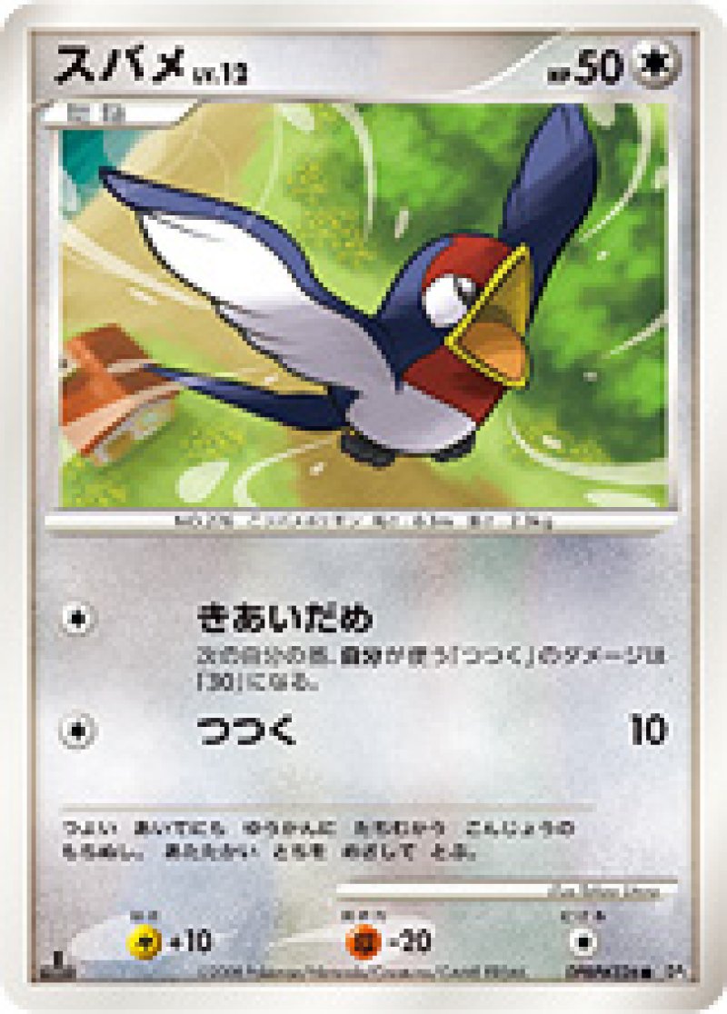 画像1: スバメ (1)